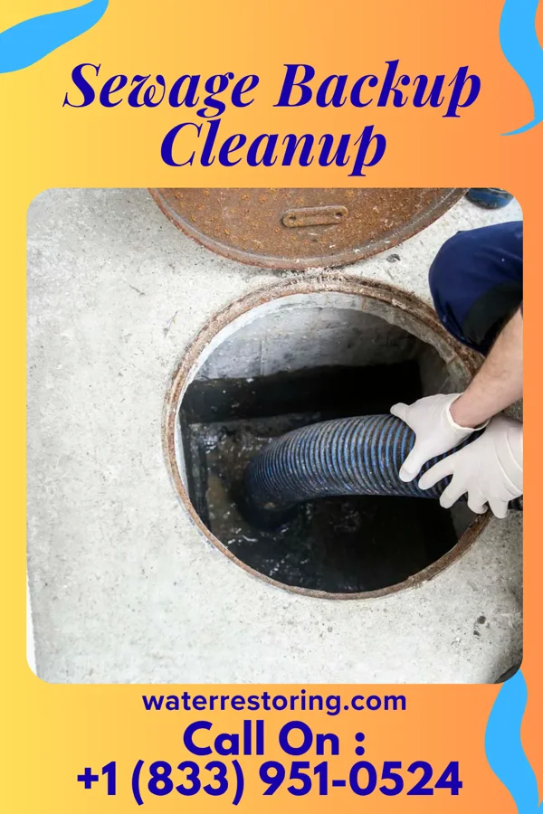 Sewage Backup Cleanup in Brothertown, WI