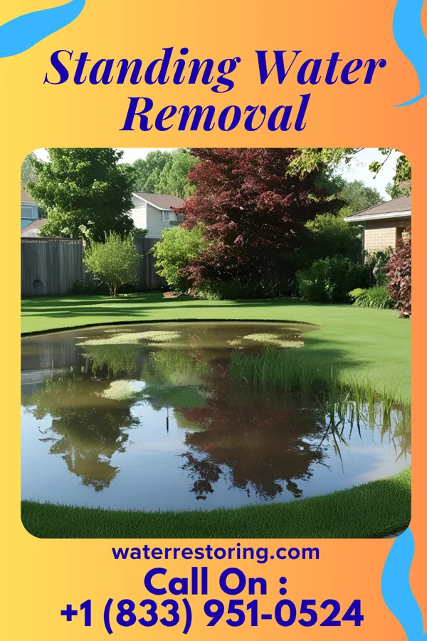 Standing Water Removal in Brothertown, WI
